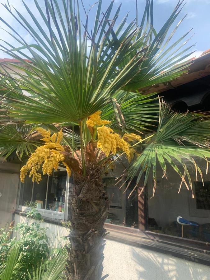 La Doi Pasi De Mare Hotel Vama Veche Exterior foto